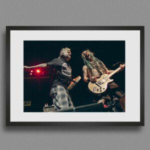 nofx, last show, picture art, photo - poster art - agrandissement photo rock