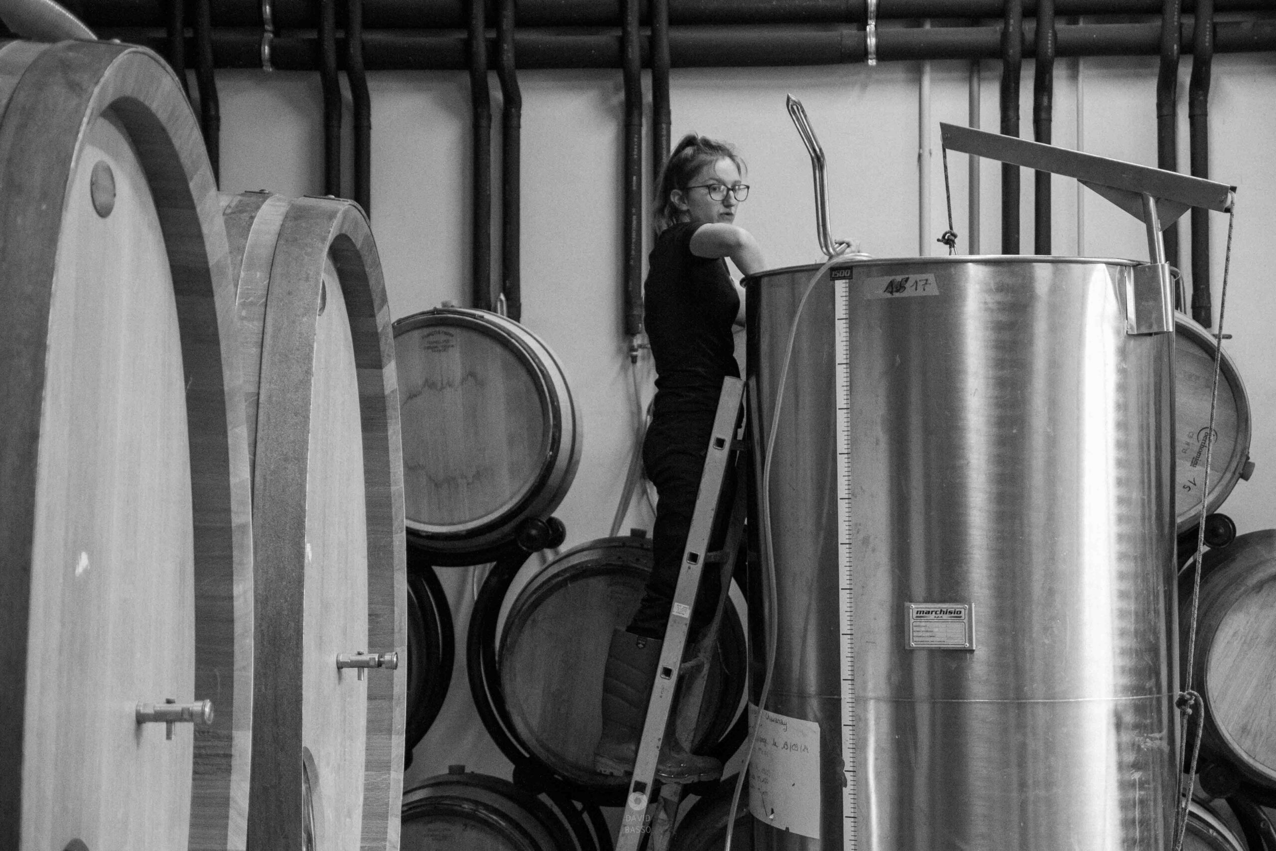 reportage photo vendanges, reportage photo vendanges cueillette raisins, reportage photo vendanges vignoble, reportage photo vendanges silos, david basso, photographe pro, drôme, ardèche,