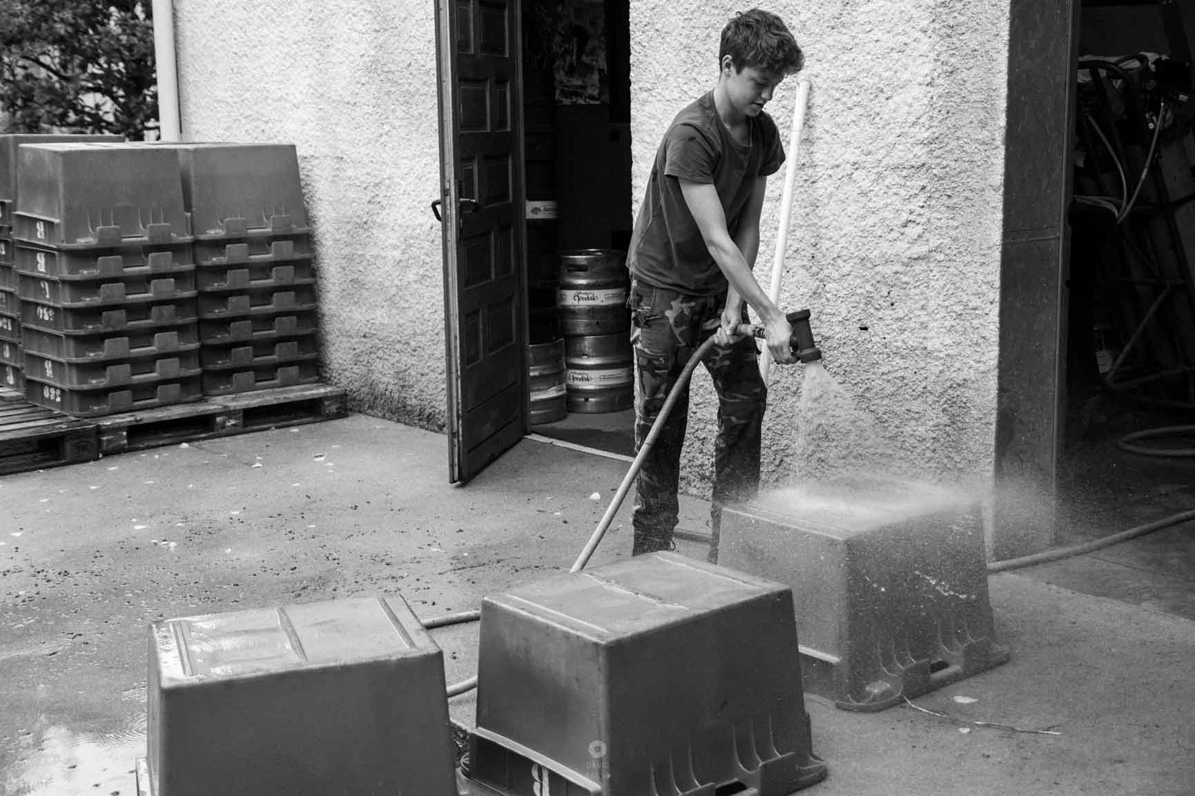 reportage photo vendanges, reportage photo vendanges cueillette raisins, reportage photo vendanges vignoble, reportage photo vendanges silos, david basso, photographe pro, drôme, ardèche,