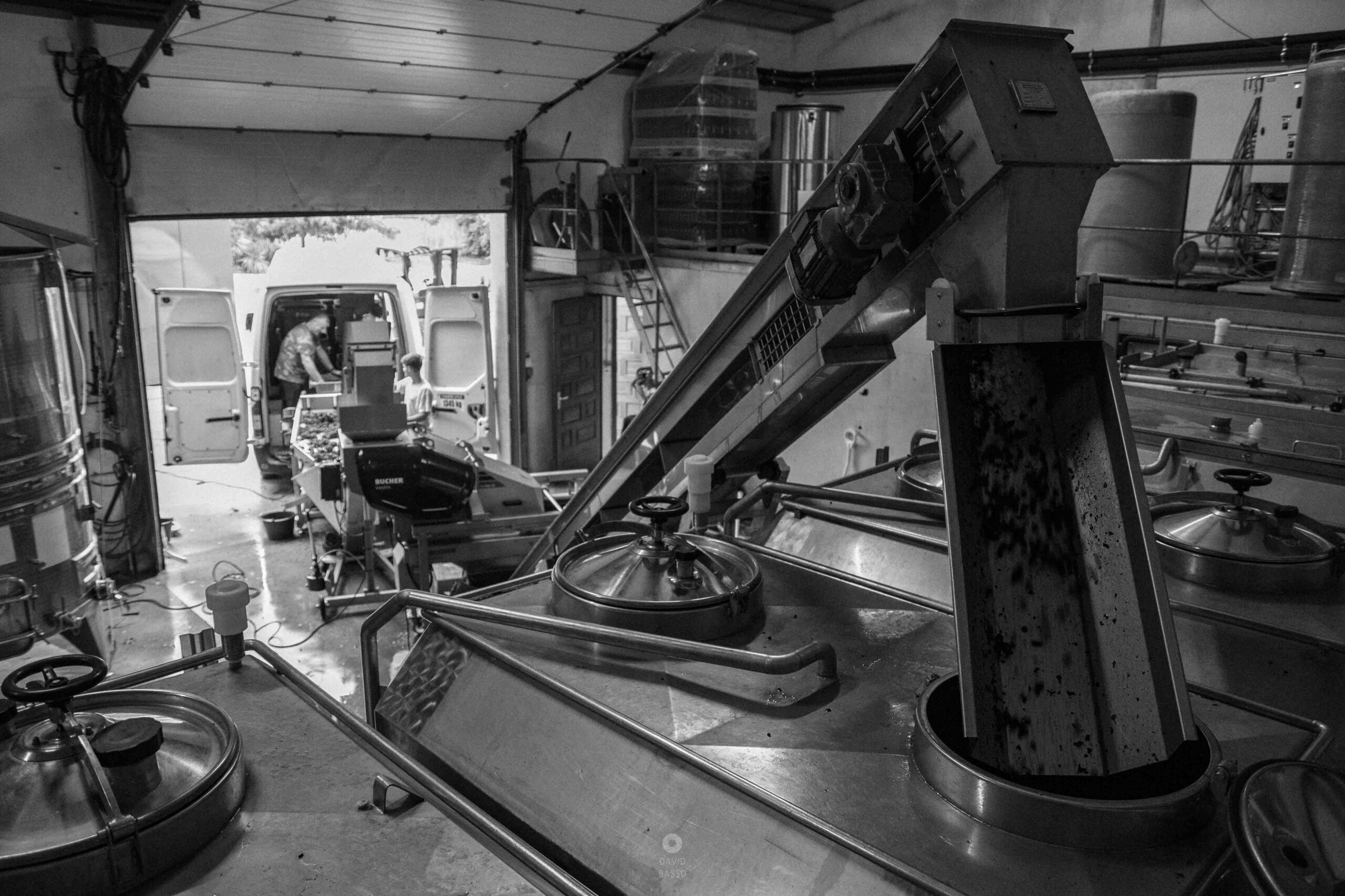 reportage photo vendanges, reportage photo vendanges cueillette raisins, reportage photo vendanges vignoble, reportage photo vendanges silos, david basso, photographe pro, drôme, ardèche,