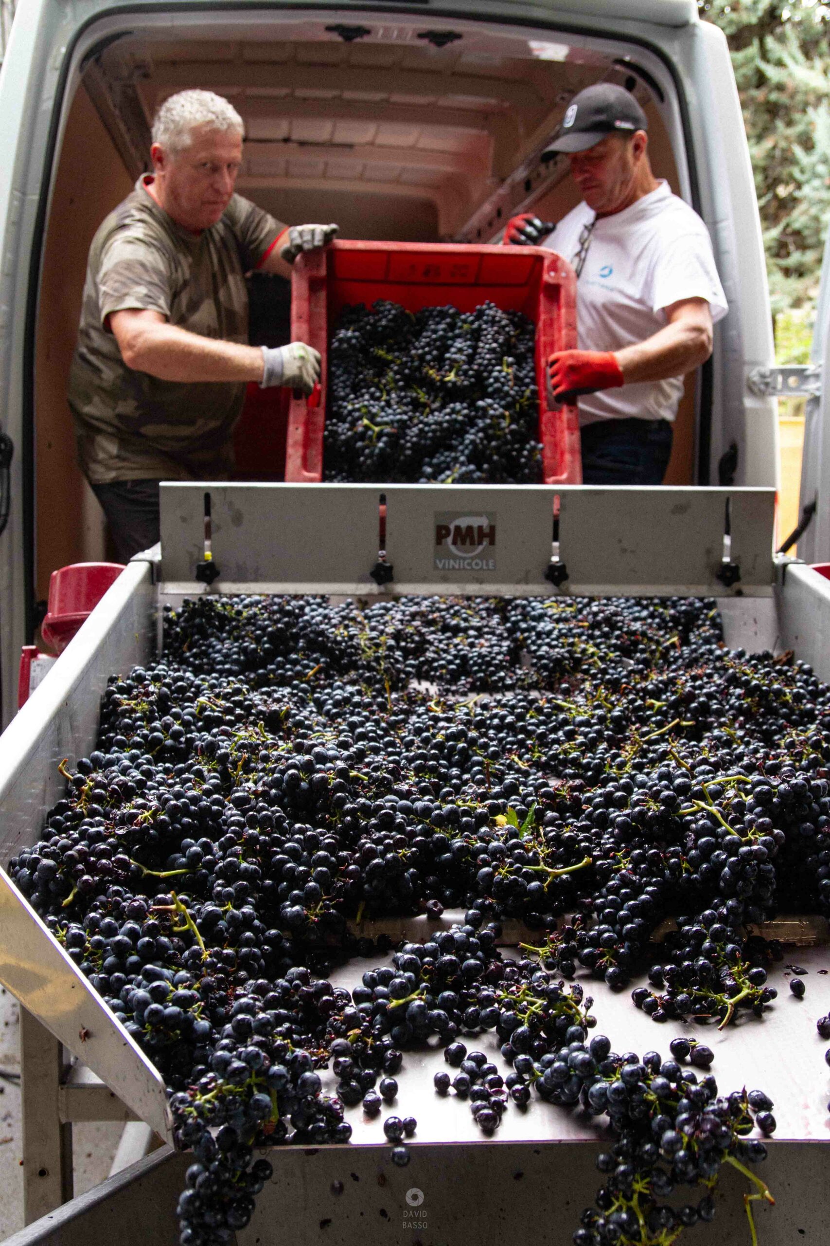 reportage photo vendanges, reportage photo vendanges cueillette raisins, reportage photo vendanges vignoble, reportage photo vendanges silos, david basso, photographe pro, drôme, ardèche,
