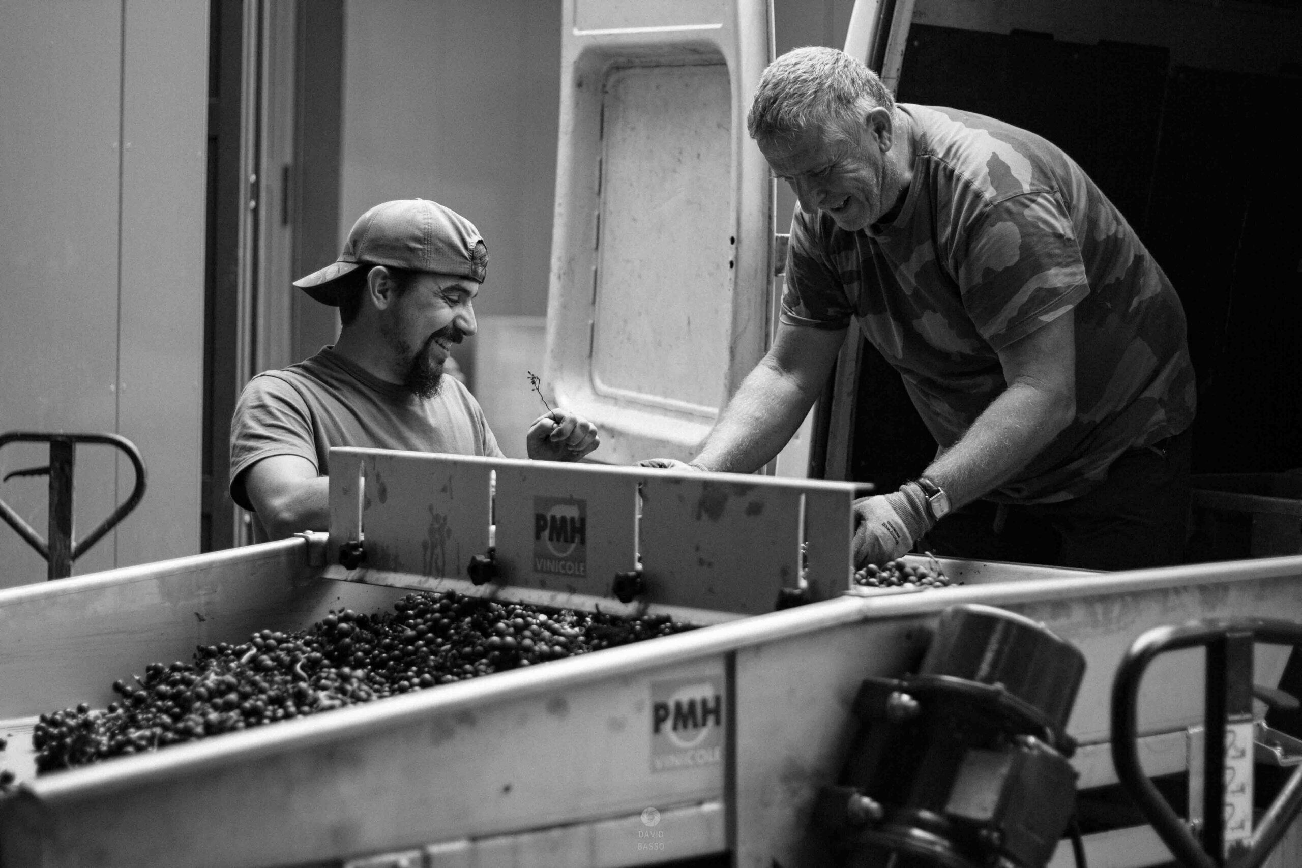 reportage photo vendanges, reportage photo vendanges cueillette raisins, reportage photo vendanges vignoble, reportage photo vendanges silos, david basso, photographe pro, drôme, ardèche,