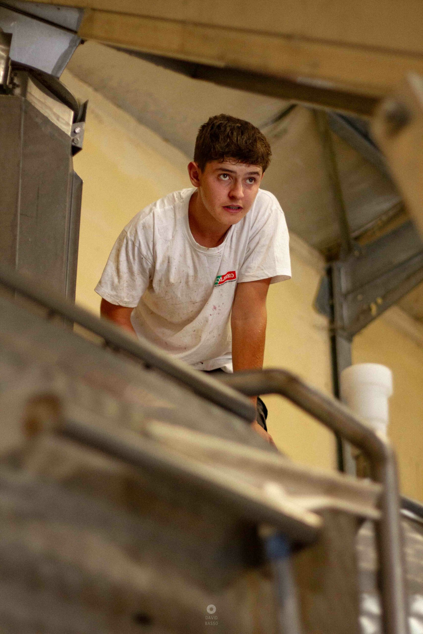 reportage photo vendanges, reportage photo vendanges cueillette raisins, reportage photo vendanges vignoble, reportage photo vendanges silos, david basso, photographe pro, drôme, ardèche,