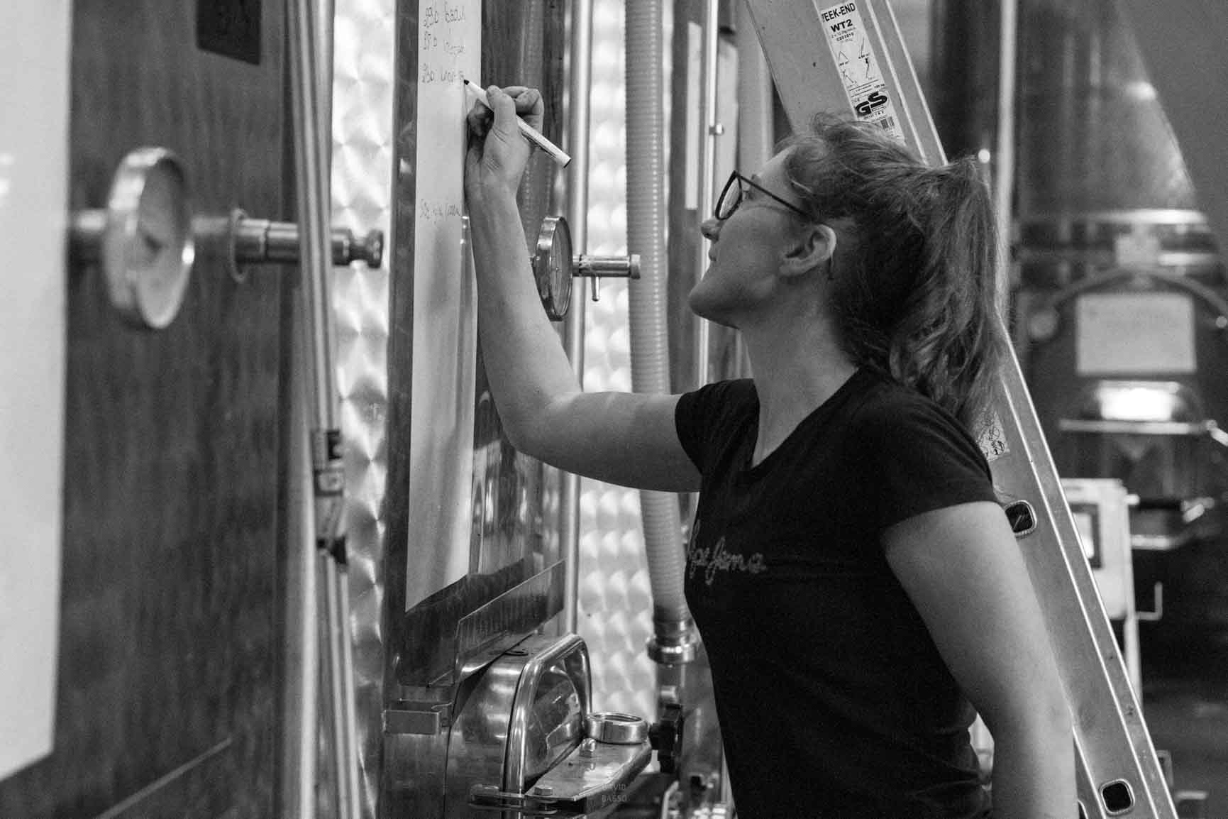 reportage photo vendanges, reportage photo vendanges cueillette raisins, reportage photo vendanges vignoble, reportage photo vendanges silos, david basso, photographe pro, drôme, ardèche,